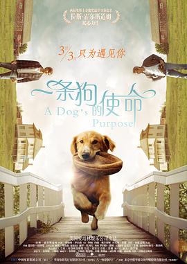 伊人网综合网